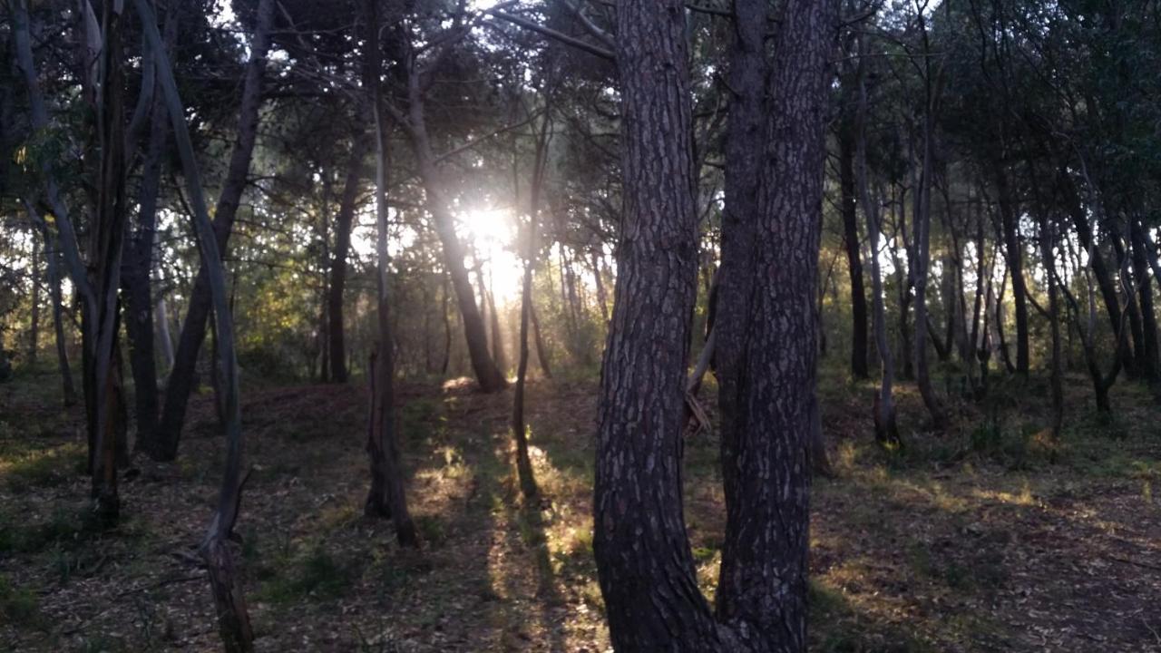 Farm stay Primosole Catania